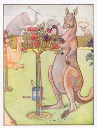Und das Känguru versuchte, die Rosen blau zu malen, Illustration aus 